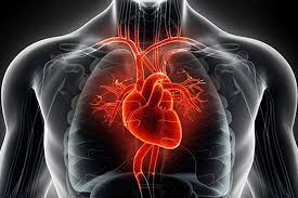 Heart disease analysis preview